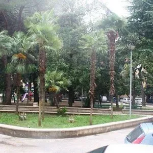 Отдельный дом в Тиват, фото 2