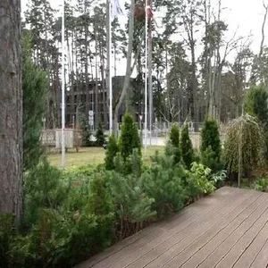 Квартира в Дзинтари, фото 4