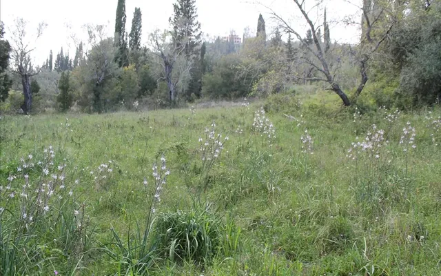 Земельный участок в Corfu