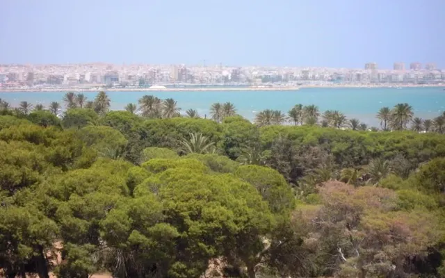 Квартира в Ориуэла