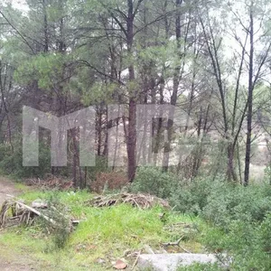 Земельный участок в Каллифея (Кассандра), фото 2