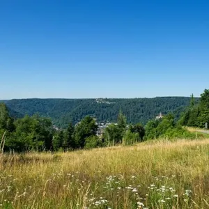Земельный участок в Плохой Liebenzell, фото 2