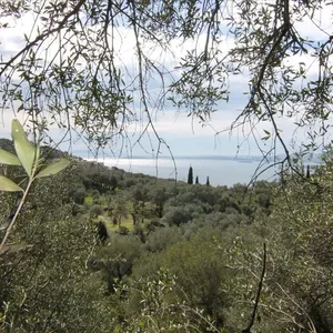 Земельный участок в Corfu, фото 2