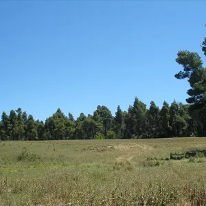Земельный участок в Kassandra Municipality, фото 3