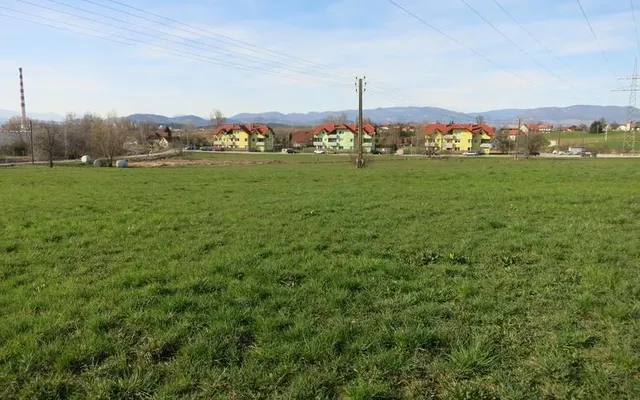 Земельный участок в Целе