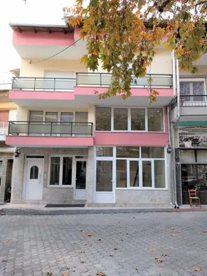 Коммерческая недвижимость в Paggaio Municipality