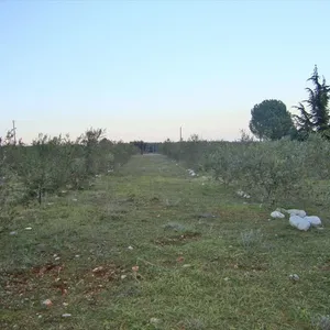 Земельный участок в Литохоро, фото 2