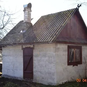 Земельный участок в Кудрукюла, фото 3