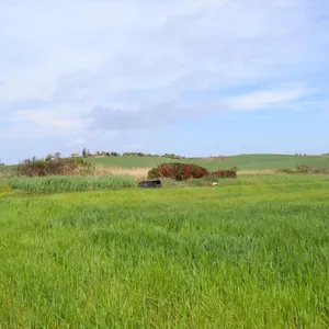Земельный участок в Kassandra Municipality, фото 4