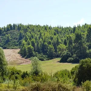 Земельный участок в Kassandra Municipality, фото 2