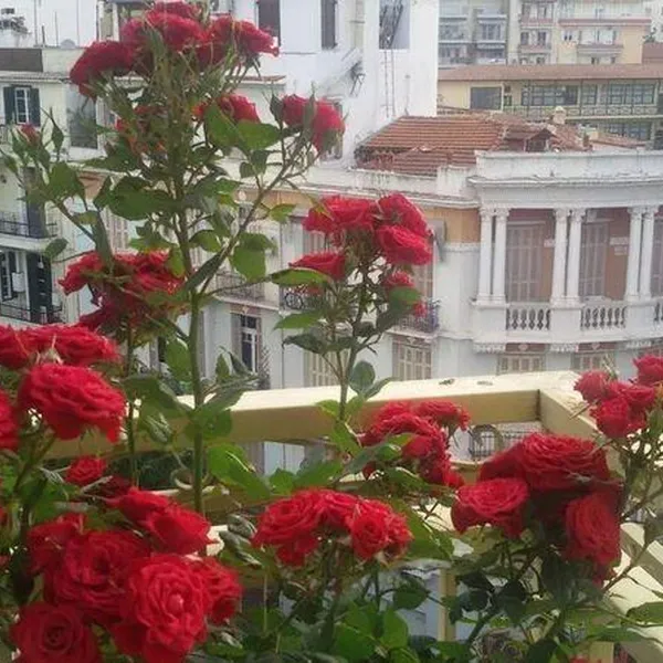 Квартира в Аристотелус, фото 1