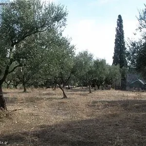 Земельный участок в Афины, фото 2