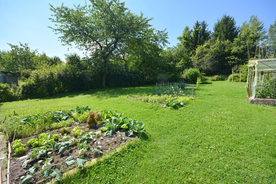 Земельный участок в Рудник