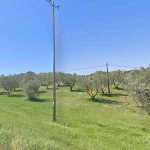 Земельный участок в Ситониа, фото 3