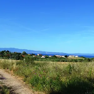Земельный участок в Kassandra Municipality, фото 4