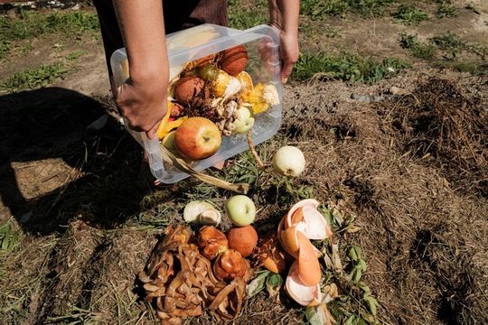 Сфера услуг в Сутоморе