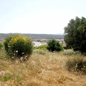 Земельный участок в Ситониа, фото 5