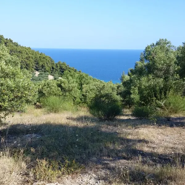 Земельный участок в Kassandra Municipality, фото 1