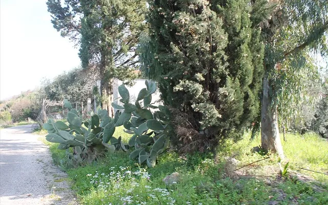 Земельный участок в Corfu