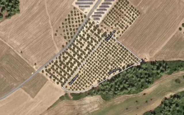 Земельный участок в Kassandra Municipality