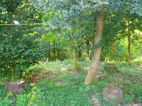 Земельный участок в Воли