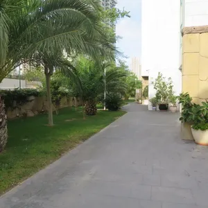 Квартира в Бенидорм, фото 4