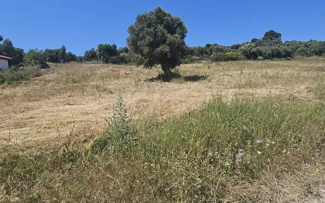 Земельный участок в Kassandra Municipality