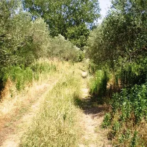 Земельный участок в Kassandra Municipality, фото 2