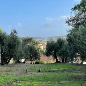 Земельный участок в Corfu, фото 4