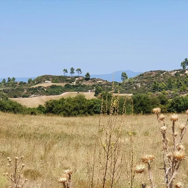 Земельный участок в Kassandra Municipality, фото 1