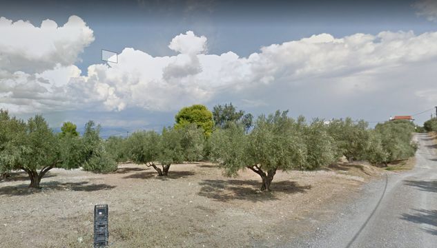 Земельный участок в Дилеси