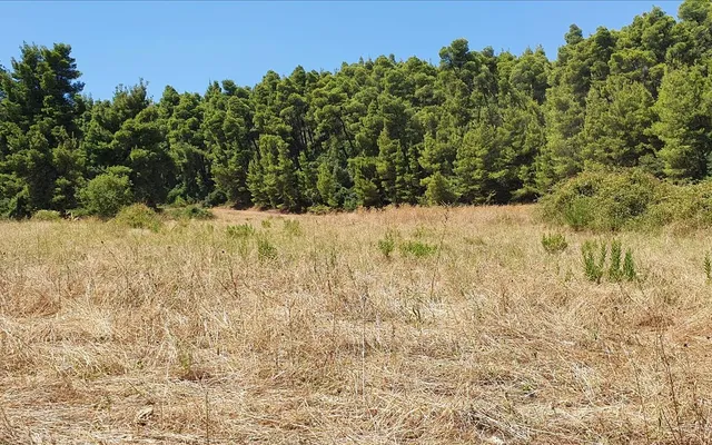Земельный участок в Kassandra Municipality