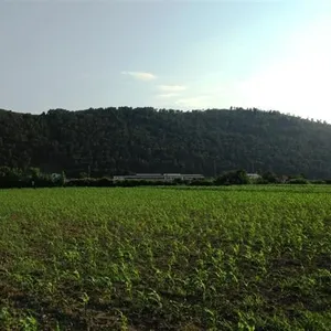 Земельный участок в Бар, фото 2