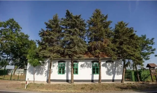 Дом в Србобран