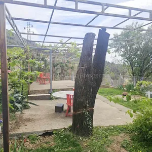 Дом в Сутоморе, фото 2