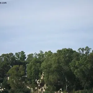 Земельный участок в Закинтос, фото 3