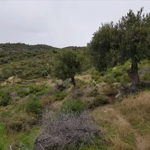 Земельный участок в Ситониа, фото 2