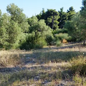 Земельный участок в Kassandra Municipality, фото 5