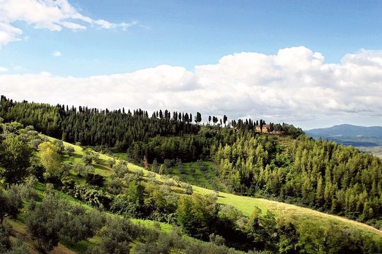 Отель в Волтерра