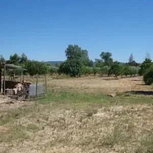 Отдельный дом в Айора, фото 5