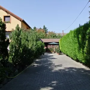 Отдельный дом в Кестхей, фото 4