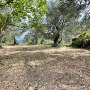 Земельный участок в Corfu, фото 3