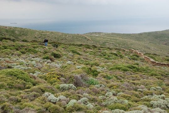 Земельный участок в Эвбея