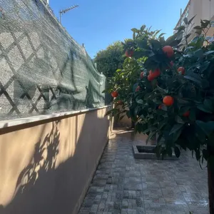 Отдельный дом в Маркопуло, фото 5
