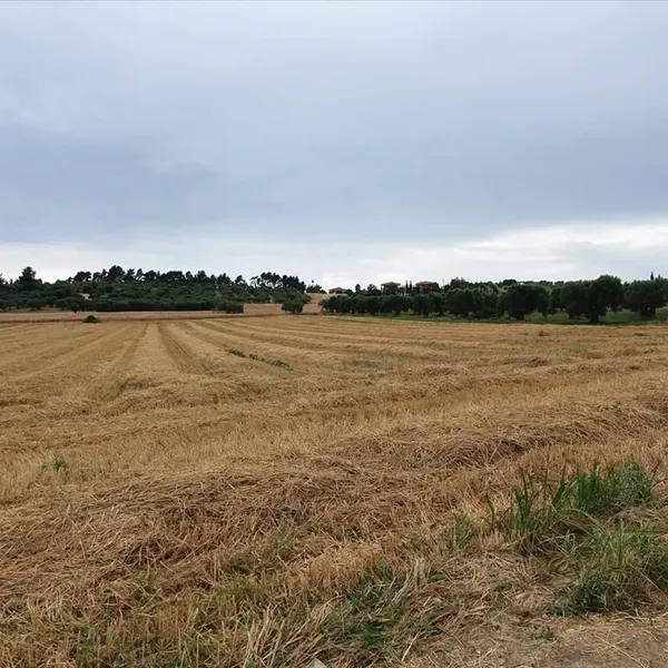 Земельный участок в Kassandra Municipality, фото 2