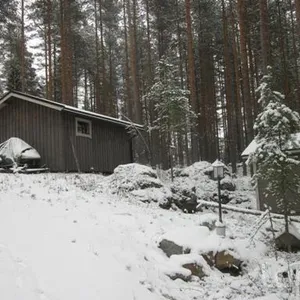 Отдельный дом в Савонранта, фото 3