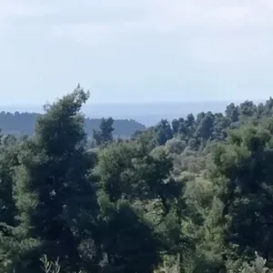 Земельный участок в Kassandra Municipality, фото 2
