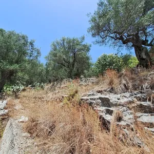 Земельный участок в Corfu, фото 2