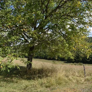 Дом в Nouvelle-Aquitaine, фото 5