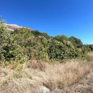 Земельный участок в Режевичи, фото 4